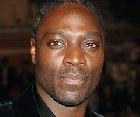 Adewale Akinnuoye-Agbaje